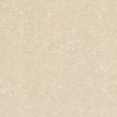 Gạch lát nền Granite TS2-812