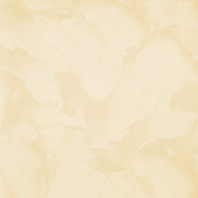 Gạch lát nền Viglacera 60x60 B6007