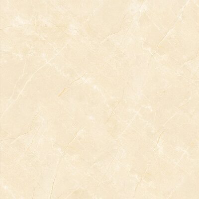 Gạch lát nền Viglacera 60×60 TB 610
