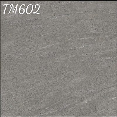 Gạch lát nền Viglacera 60×60 TM 602