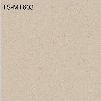 Gạch lát nền Viglacera 60×60 TS MT603