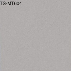 Gạch lát nền Viglacera 60×60 TS MT604 - Thumbnail ảnh chính