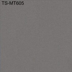 Gạch lát nền Viglacera 60×60 TS MT605 - Thumbnail ảnh chính