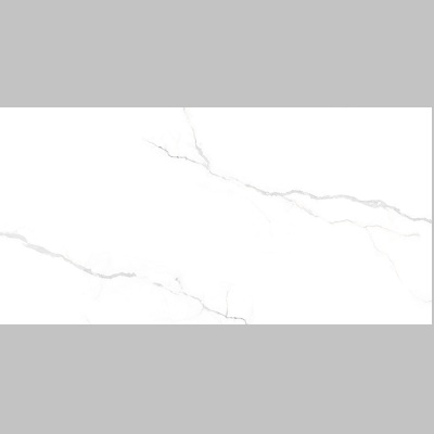 Gạch ốp tường Viglacera 40x80 SHGP4809