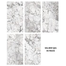 Gạch Viglacera 60x120 Nhã Vi SIG-NHV Q01 - Thumbnail ảnh phụ