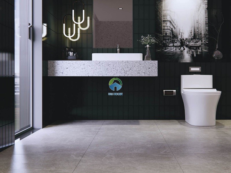 Mẫu gạch vệ sinh Viglacera NY4-GM8802