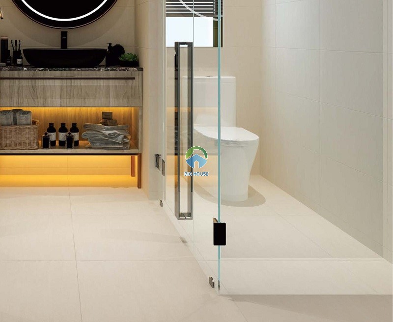 Gạch vệ sinh Viglacera SH-SM601