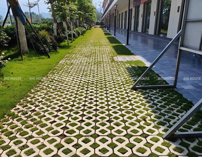 Gạch trồng cỏ sân vườn 2 lỗ 1 Gạch trồng cỏ sân vườn 2 lỗ 1