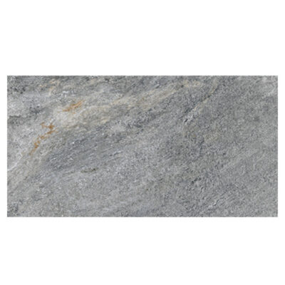 Gạch Viglacera Platinum 45x90 PT20-G459021