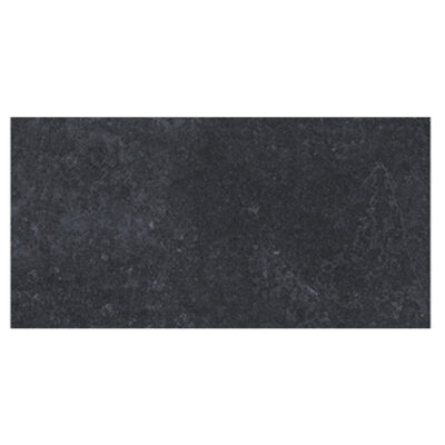 Gạch Viglacera Platinum 30×60 PT20-G3604