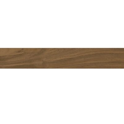 Gạch Viglacera Platinum 20×120 PT 21205