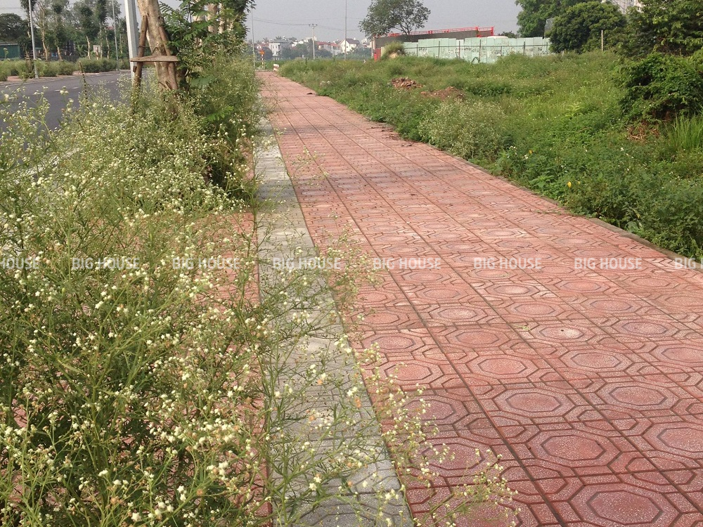 Gạch terrazzo tông đỏ được ưa chuộng sử dụng tại các khu vực công viên