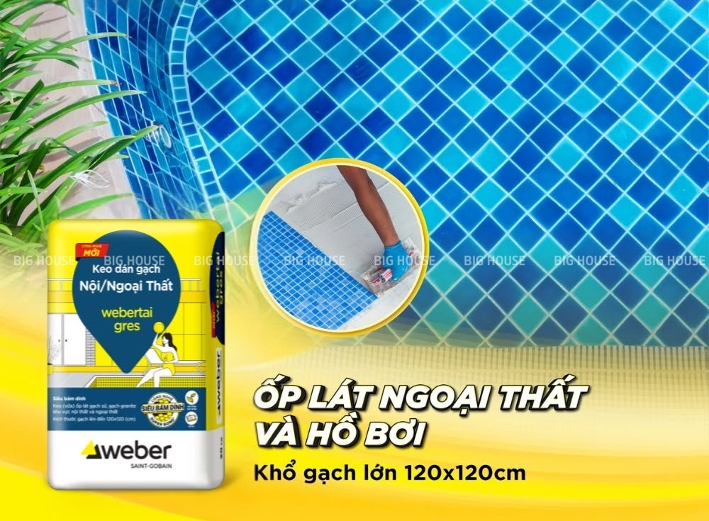 keo dán gạch hồ bơi WeberTai.Gres